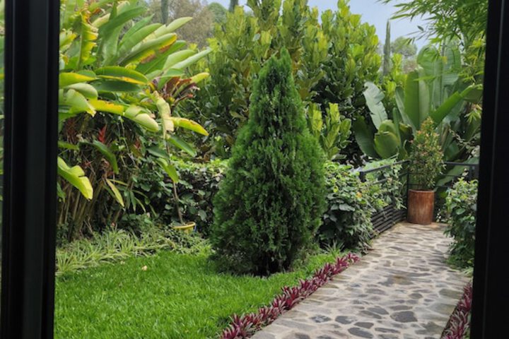 Terrace/Patio 85 of 121