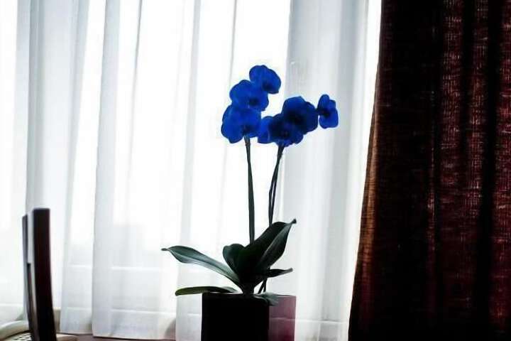 Hotel Interior 64 of 66