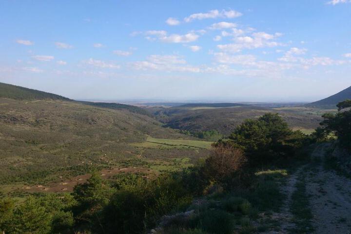General 21 of 74