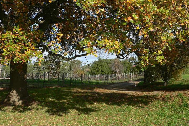 Property Grounds 27 of 38