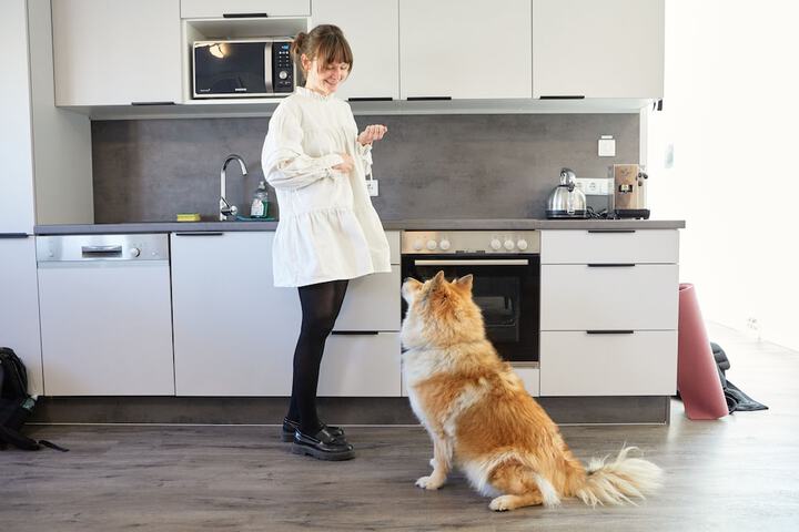 Pet Friendly 138 of 145