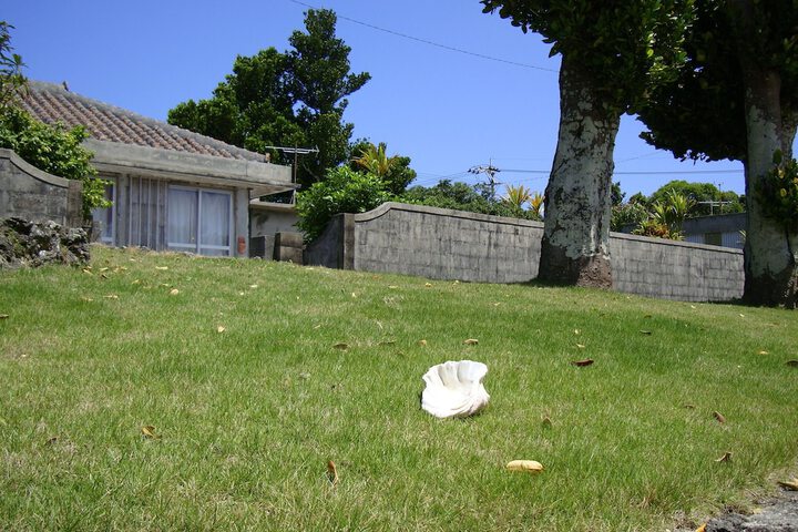 Property Grounds 15 of 22