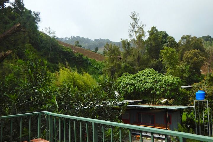 Hotel View 146 of 154