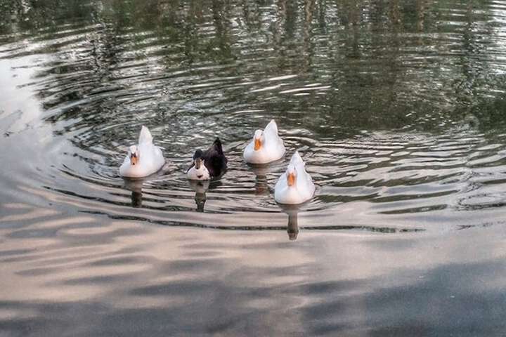 Property Grounds 147 of 162