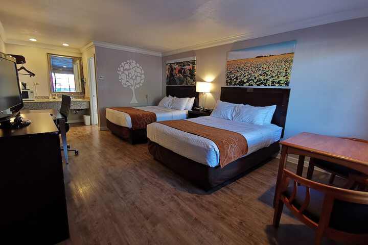 2 Queen Beds (8 of 23)