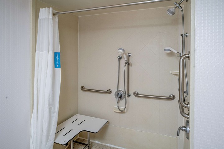 1 Queen Mobility Accessible Roll in Shower (8 of 10)