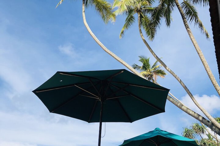 Beach 196 of 221