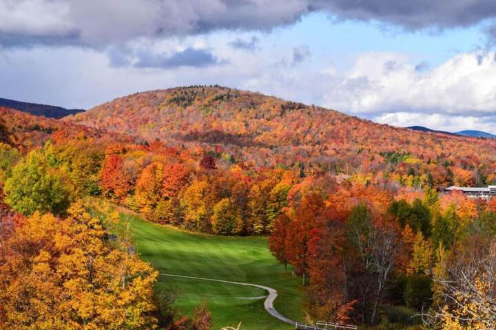 Hotel Interior 172 of 242