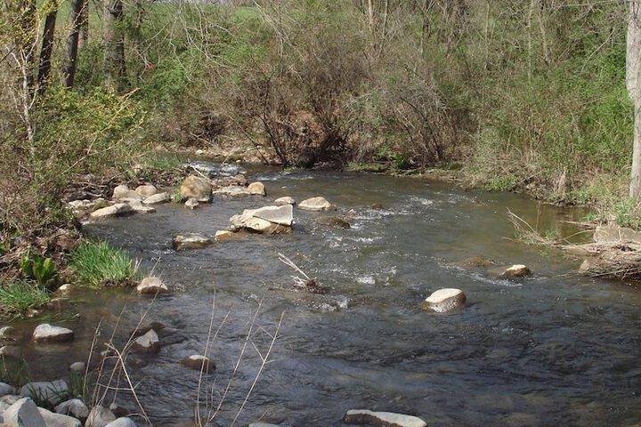 Outdoor Activities 42 of 63