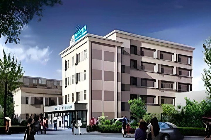 Photo 8