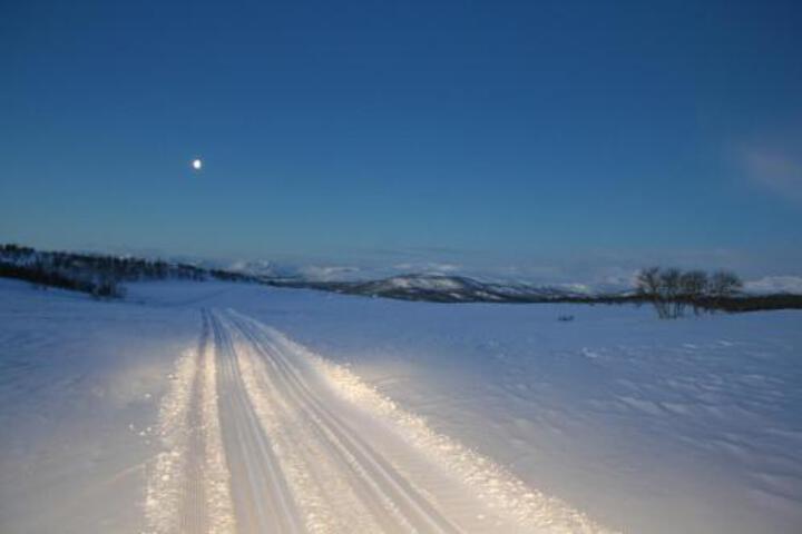 General 31 of 50
