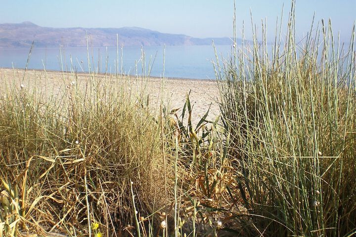 Beach 58 of 79