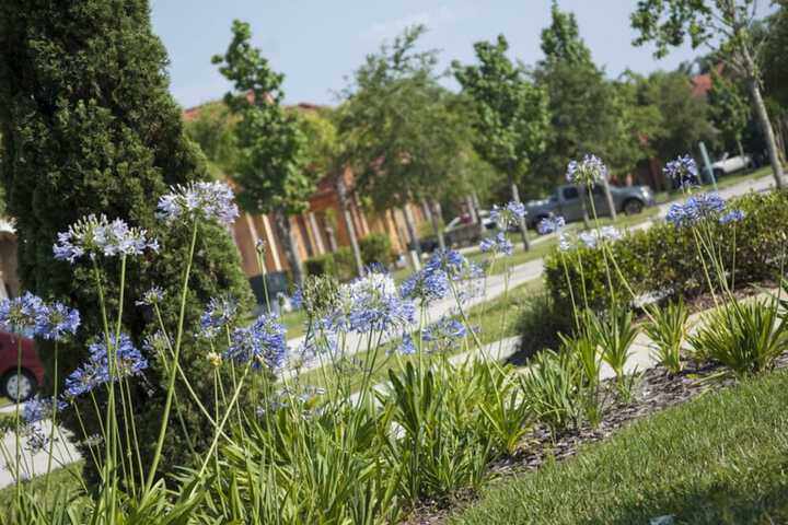 Property Grounds 51 of 60