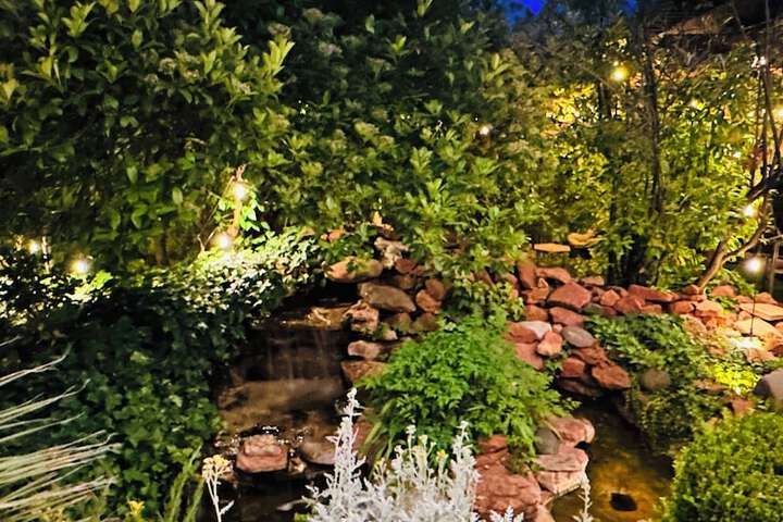 Garden view