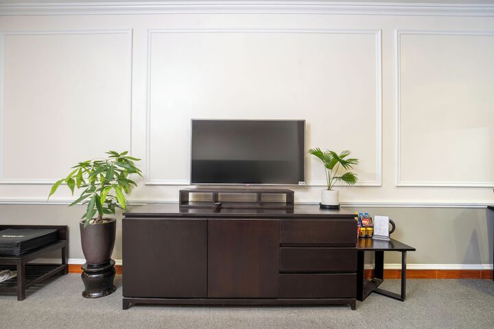 Television