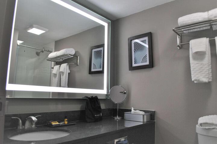1 King Bed Suite (11 of 12)