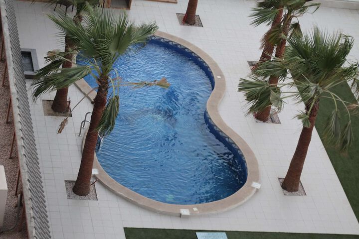 Hotel with Pool
