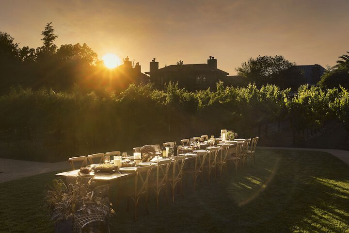 Vineyard