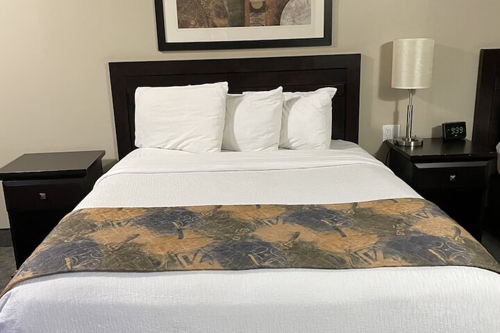 Room 15 of 49