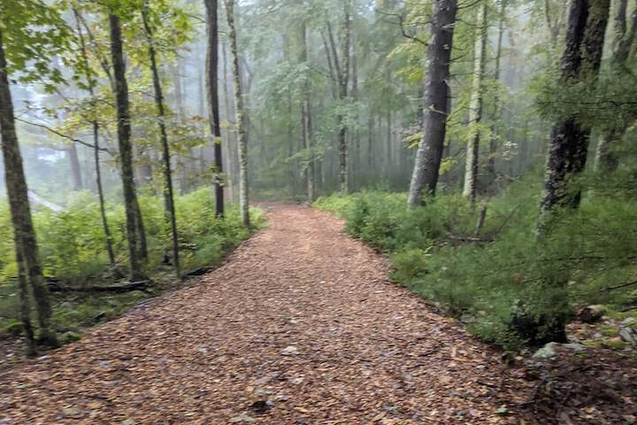 Outdoor Activities 27 of 73