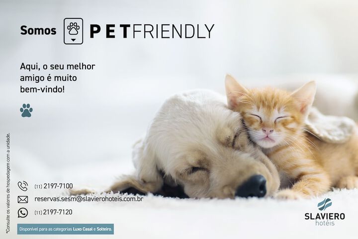 Pet Friendly 35 of 48
