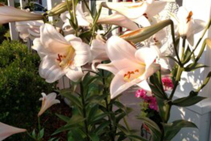 Hotel Exterior 11 of 31