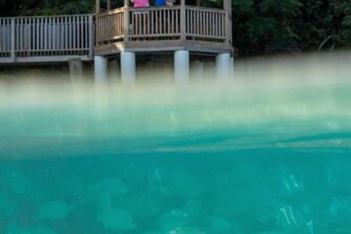 General 60 of 92