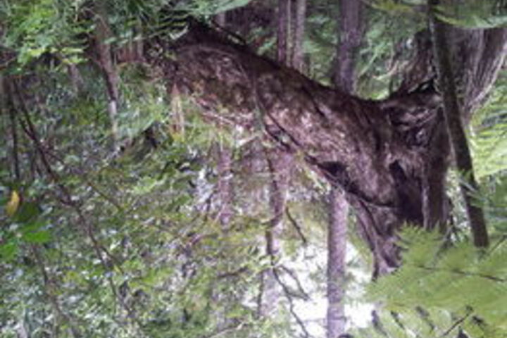 Property Grounds 17 of 24