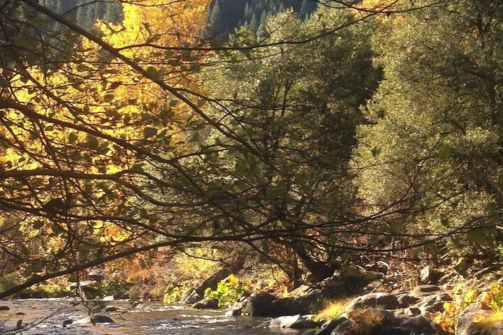 Outdoor Activities 83 of 102