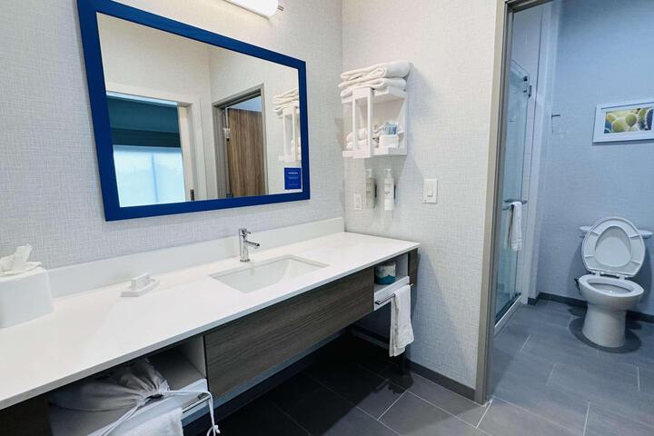 1 King Hearing Accessible Studio with Sofa Bed (10 of 41)