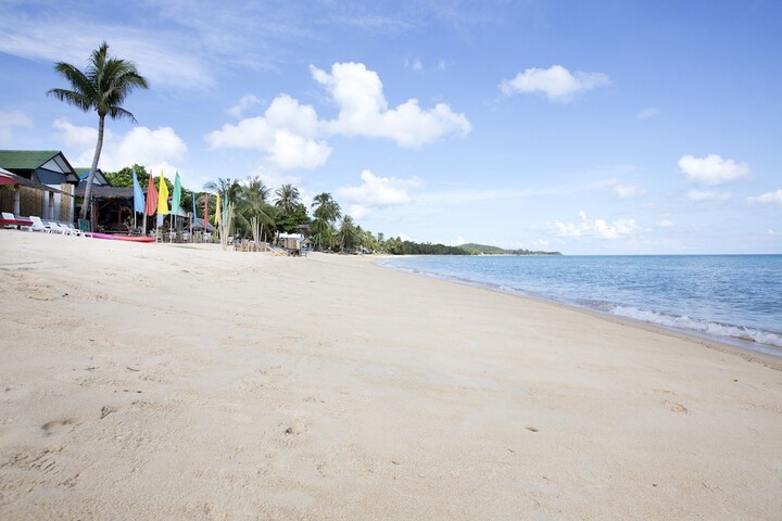Beach 99 of 114