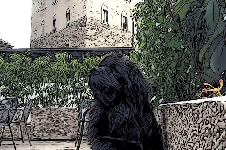 Terrace/Patio 32 of 33