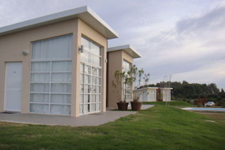 Camino De Palmeras