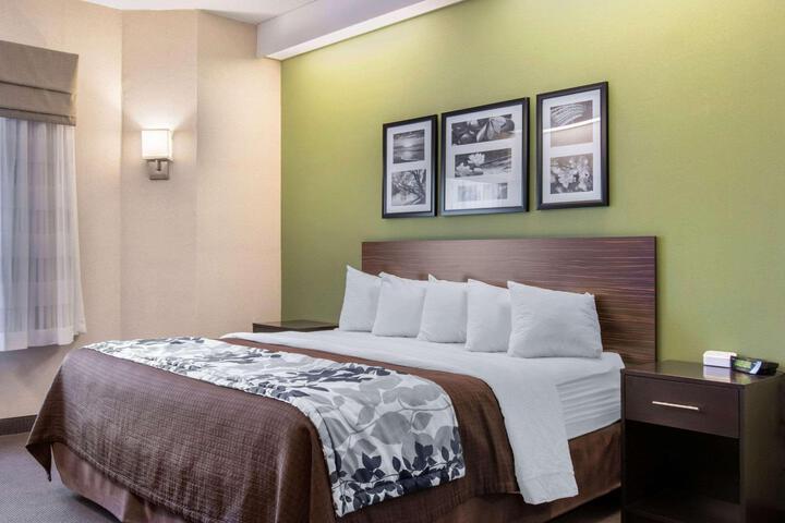 1 King Bed (3 of 7)