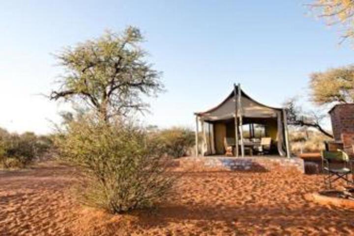 Image of Kalahari Auob Camp