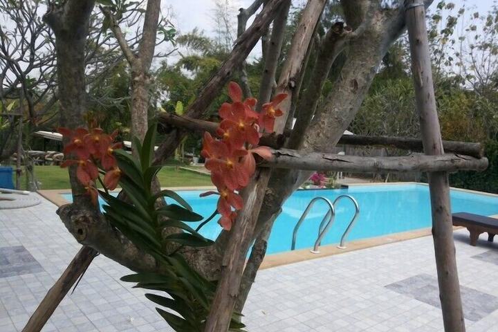 Hotel with Pool