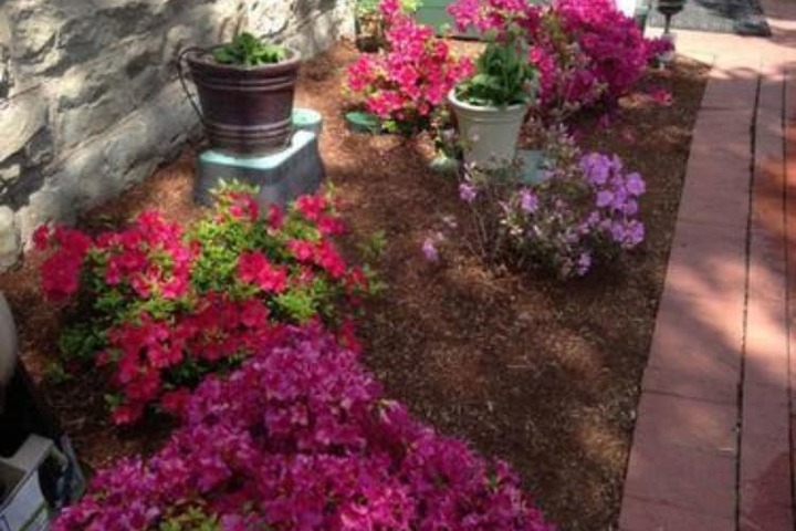 Hotel Exterior 133 of 152