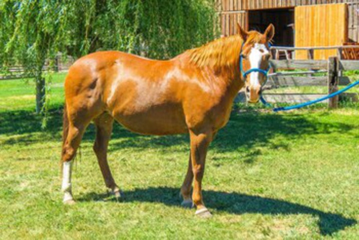 Hotel Interior 14 of 25