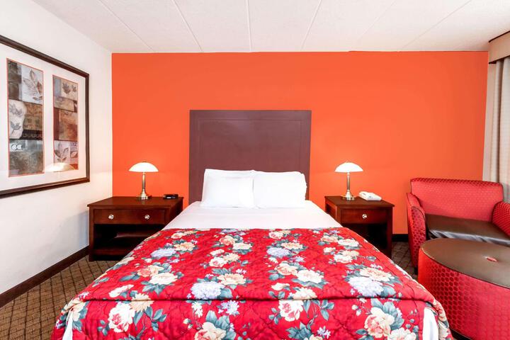 Standard | King Bed (4 of 11)