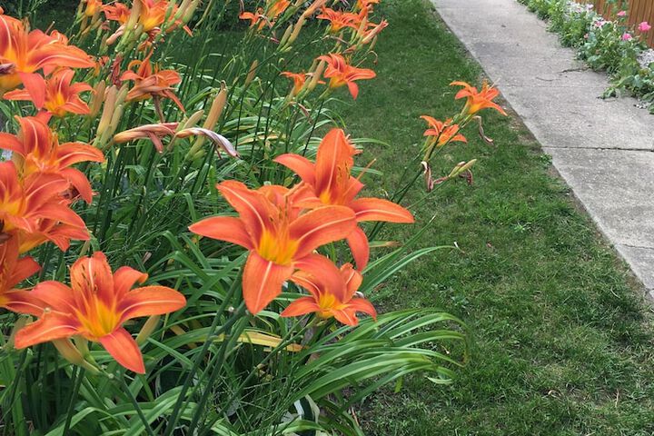 Hotel Exterior 133 of 173