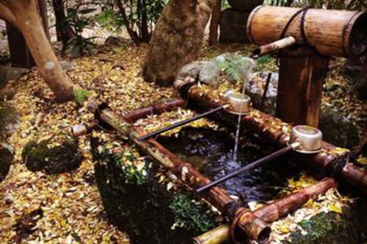 Spa and Wellness Pictures