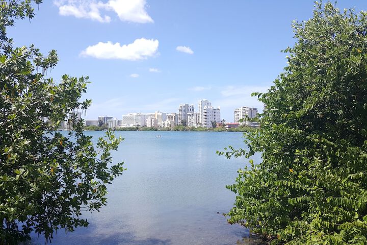Lake