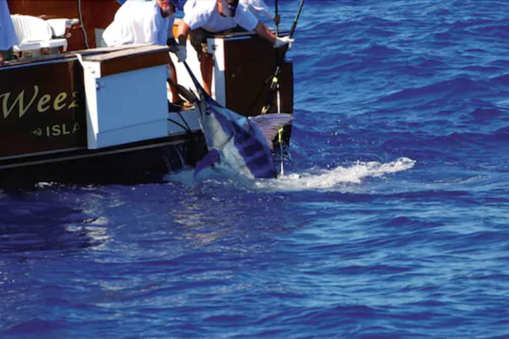 Fishing