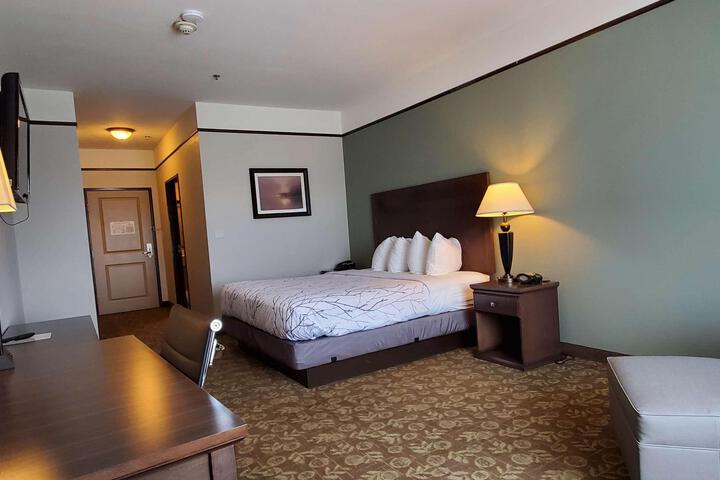 1 King Bed (11 of 13)