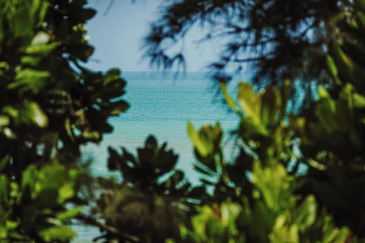 Beach 217 of 222