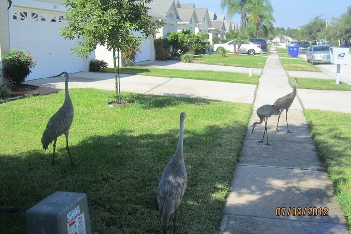 Hotel Exterior 21 of 27