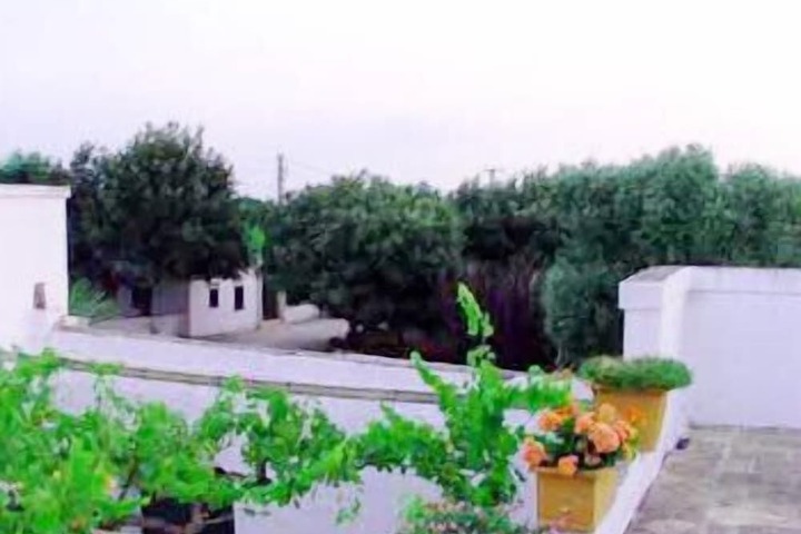 Terrace/Patio 42 of 93