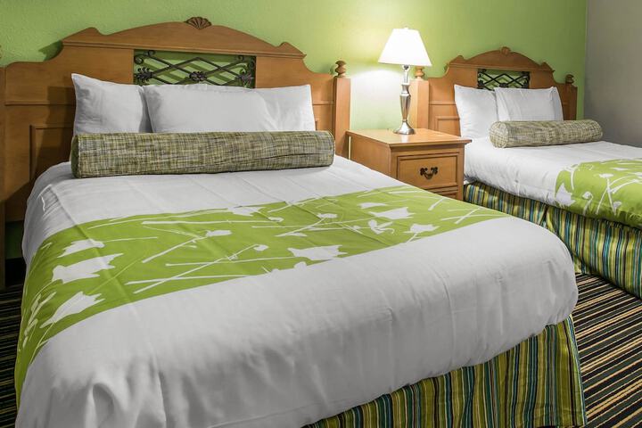 Suite King Bed Pet Friendly (3 of 21)