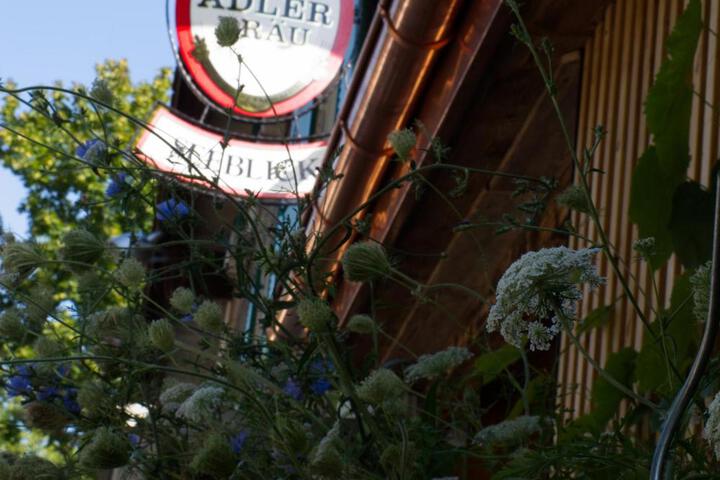 General 12 of 98