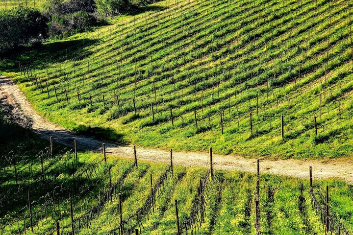 Winery